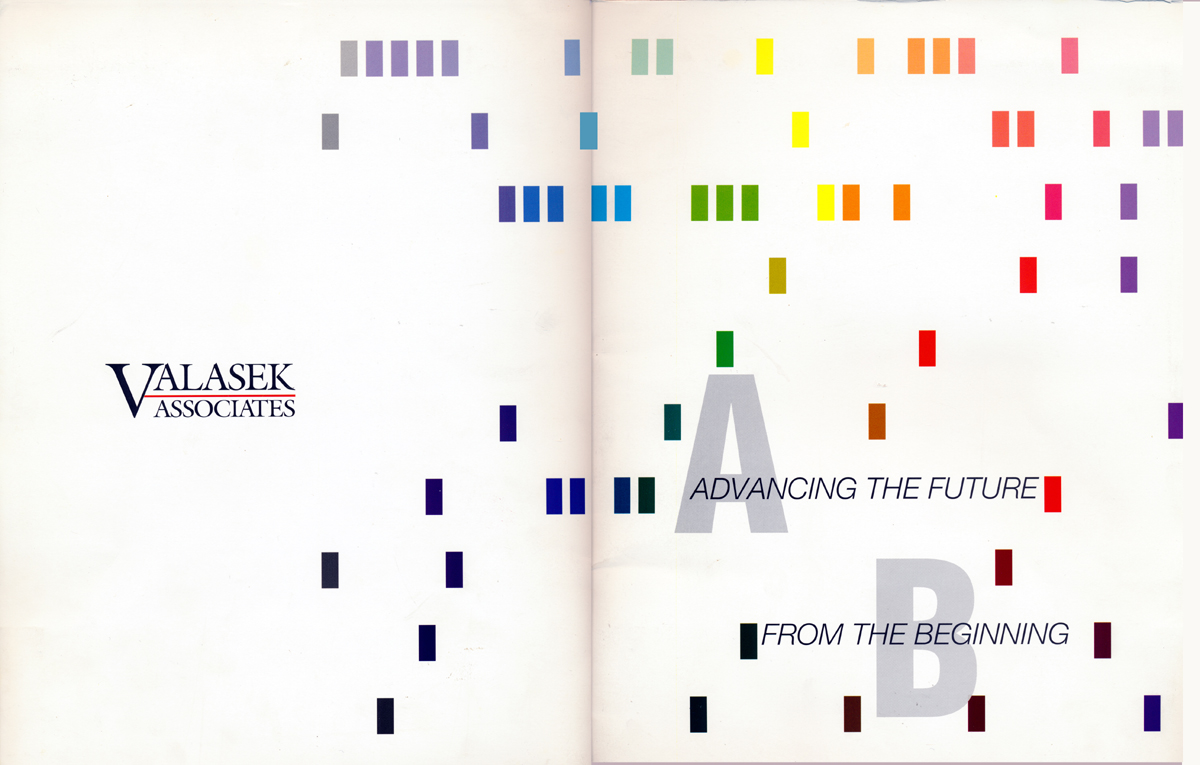 Valasek Associates media kit cover