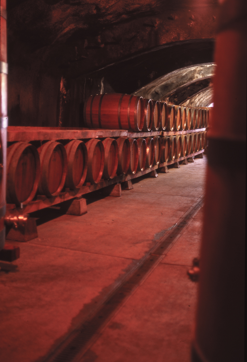 Amphorae Project A Journey from the vineyard to the barrel
